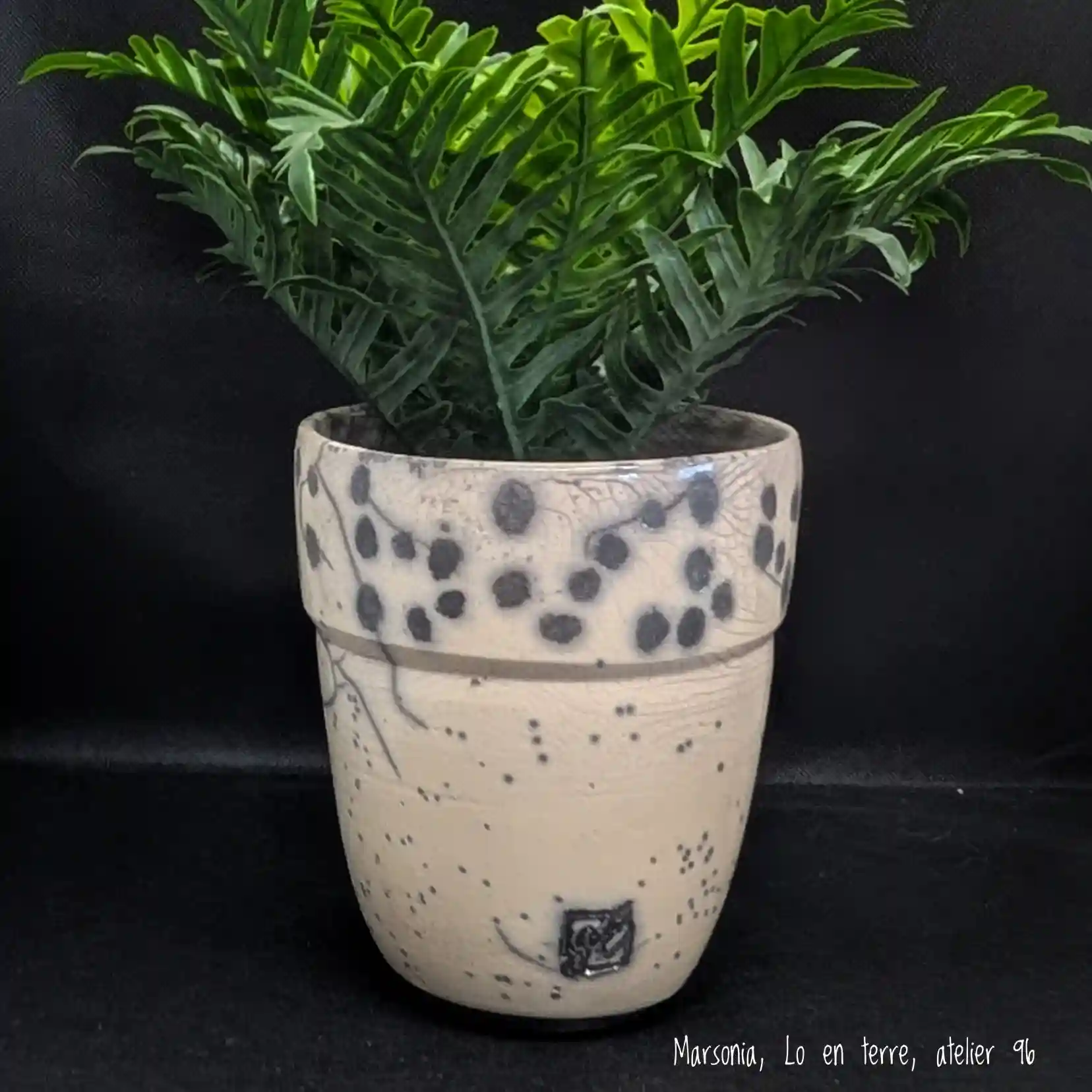 Raku 2